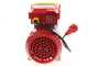 Rover Novax 14-OIL - Electric transfer pump for oil in antioxidant alloy - Single-phase - 230V