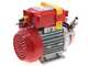 Rover Novax 14-OIL - Electric transfer pump for oil in antioxidant alloy - Single-phase - 230V