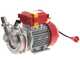 Rover Novax 30-OIL - Electric transfer pump for oil in anti-oxidant alloy - Single-phase - 230V
