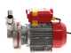 Rover Novax 30-OIL - Electric transfer pump for oil in anti-oxidant alloy - Single-phase - 230V