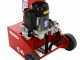 Ceccato BULL SPLE8 8 Tons Single-phase Vertical Log Splitter - 540 mm Piston Stroke