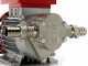 Rover Novax G 20 Electric Gear Transfer Pump - 0.6 HP - Antioxidant Alloy