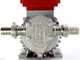 Rover Novax G 20 - Electric transfer pump for oil with antioxidant alloy gears - 0.6 HP
