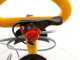 Arco Froggy S20 - Petrol Sprayer Pump - TU26-QL Engine - 20 L 