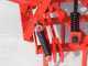 AgriEuro EPP50 heavy tooth harrow - portable / towed - 50 teeth, foldable