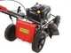 Marina Systems MX 55SK 3V lawn mower - 4 in 1 - Kawasaki FJ180V engine