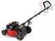 Ama TRX 461B Self-propelled Lawn Mower - B&amp;S Engine - Grass Collector, Mulching, Side and Rear Discharge