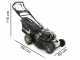 Blackstone SP530 B&amp;S Deluxe Self-propelled Petrol Lawn Mower with Briggs 750EX Series Engine