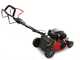 Ama TRX 481H Self-propelled Lawn Mower with Grass Collector, Mulching, Side and Rear Discharge - Honda GCVx Engine