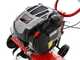 Rotalux 52A B55 Garden Tiller with 75 cm Tiller - B&amp;S 163 cc Engine - 1 Forward Gear
