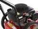 MTD WST 5522 - 4-stroke gasoline wheeled push brush cutter