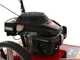 MTD WST 5522 - 4-stroke gasoline wheeled push brush cutter