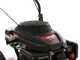 MTD WST 5522 - 4-stroke gasoline wheeled push brush cutter