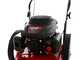 MTD WST 5522 - 4-stroke gasoline wheeled push brush cutter