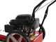 MTD WST 5522 - 4-stroke gasoline wheeled push brush cutter