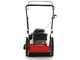 MTD WST 5522 - 4-stroke gasoline wheeled push brush cutter