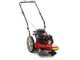 MTD WST 5522 - 4-stroke gasoline wheeled push brush cutter