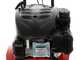 Benassi BL 20 -  4.5 HP Petrol Garden Tiller - Loncin LC1P65FE Engine