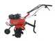 Benassi BL 6000C - 7 HP Petrol Garden Tiller - Hwasdan H170F Engine 