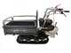 Blackstone TB 3250 E - Extendable Tracked Power Barrow - Capacity 320Kg