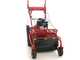 Blue Bird SG0812A - Professional Hammer Rough Cut Mower - Loncin LC175F-2 