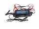 Brumi Etna 12V - Battery Powered Olive Harvester - Aluminium Rod 235/320cm