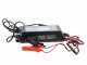 Brumi Etna 12V - Battery Powered Olive Harvester - Aluminium Rod 235/320cm