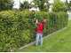 Einhell GE-HC 18 Li T - Pruner - Cordless Hedge Trimmer - WITHOUT BATTERIES AND CHARGER