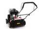 GeoTech PRO PLS 6000 Evo - Fixed blade petrol aerator - Ducar DH212 engine