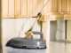 K&auml;rcher FR 30 Surface Cleaner - Brush with High Pressure Rotating Nozzles for hard surfaces