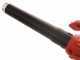 Blue Bird R3S 40V 2.5 Ah Electroc Battery-powered Leaf Blower - with Speed Adjuster
