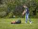 Black&amp;Decker BEMW451BH-QS Electric Lawn Mower - 32 cm Cutting Width, 1200W Power