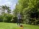 Black&amp;Decker BEMWH551-QS Electric Hover Mower - 1200W Power - 10 Blades Supplied