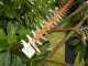 Black &amp; Decker BETHS301-QS Electric Hedge Trimmer - 500 W Hedge Trimmer with 55 cm Bar
