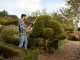 Black &amp; Decker BEHTS401-QS Electric Hedge Trimmer - 500 W Hedge Trimmer with 55 cm Bar