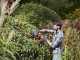 Black &amp; Decker BEHT251-QS Electric Hedge Trimmer - 450 W Hedge Trimmer with 50 cm Bar