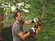 Black &amp; Decker GTC18502PC-QW Battery-powered Hedge Trimmer, 18V - 2 Ah Battery - 50 cm Blades