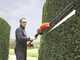 Black &amp; Decker GTC1843L20-QW Battery-powered Hedge Trimmer on Extension Pole 18V 2Ah Battery + Free 18V 2Ah battery