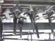 RF150 Power Harrow - 150 cm Working Width -14 Blades Medium Series - Cage Roller