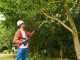 BOSCH UniversalChainPole 18 V Battery-powered Pruner on Telescopic Pole