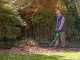 BOSCH ALB 36 Li Electric Battery-powered Leaf Blower - with 2 Ah/36 V Lithium Battery