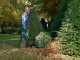 BOSCH ALB 36 Li Electric Battery-powered Leaf Blower - with 2 Ah/36 V Lithium Battery
