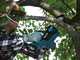 Makita DUC122 LXT - 18V 3Ah Battery-powered Electric Chainsaw - 11.5 cm Blade