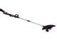 Worx WG163E.9 Battery-Powered Edge Strimmer - 20V - BATTERY AND BATTERY CHARGER NOT INCLUDED