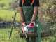 Ikra IECS 1835 - 1800 W Electric Chainsaw - 36 cm Blade