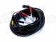 Castellari Fenix 230/315 L V2 - Electric Battery-powered Olive Harvester - Carbon Pole
