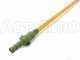 Oliviero Flex Basic Fisso battery-powered electric olive harvester, 240 cm aluminium pole
