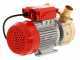 Rover 50 BE-M - Bronze electric transfer pump