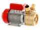Rover 50 BE-M - Bronze electric transfer pump