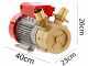 Rover 50 BE-M - Bronze electric transfer pump